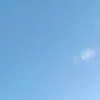 botakubc