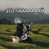 sinitsa_s_chaem