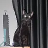 ah_6__a4kl