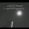 mahahasnain1