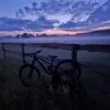 rogateksl8