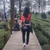 natzpricorn_
