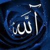 bahar.frvs