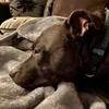 baileybobbz