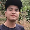 balinh4295