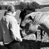 martine.equestrian