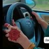 semiigull003
