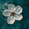 yasminm365