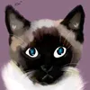 gabriel_avil.a