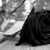 _yessica.._