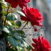 baraaalabidy83