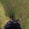 ddaappooooooooooooooo