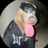 skully12340