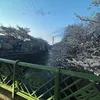 蒼依