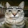 iqbalnw_