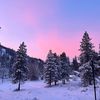 user6895436in