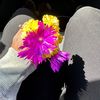 mariaf_2817