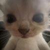ghosty02435