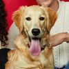 Pawbrey
