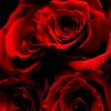 userhth9yodbam