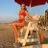 steph_elswood