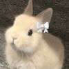 liya_layan