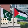 nabeeldogar63