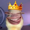 n1csdg4f