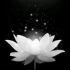 user49706013390398