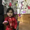 anh.duc146