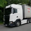 mange_v8
