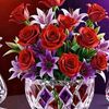user2729666088731