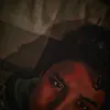 roc775