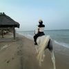 theangell_00