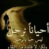alamer229