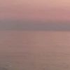 siilestra_