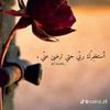 user616453248