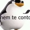 anonimoaleatorio55