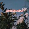 .iamabluedino
