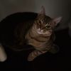 florenciop