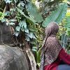 sara.ashif