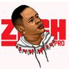 zarchpro