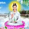 chaunguyen9730