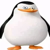 ilyagulewsky