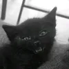 screweedup