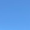 dha11i