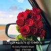 doly_al01