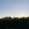 user2108051302