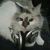 dudz7777