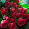 naseem786ali